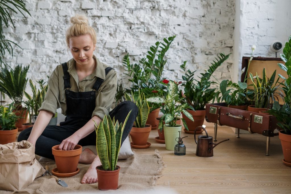 woman organizing her plants